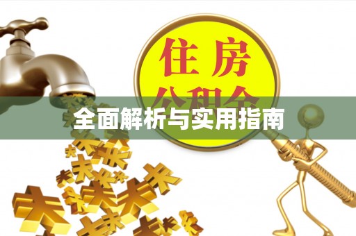 中阳全面解析与实用指南